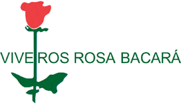Viveiros Rosa Bacará-Produção e Venda de Flores Lda