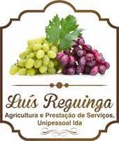 Luis Reguinga Agricultura e Prestação de Serviços