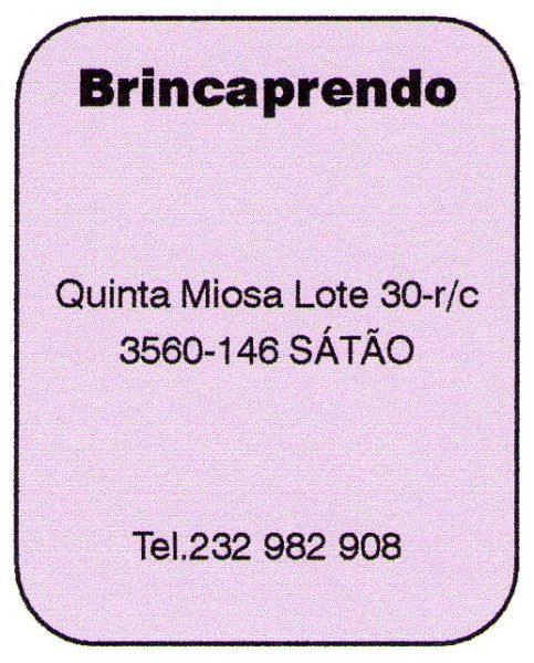 Brincaprendo