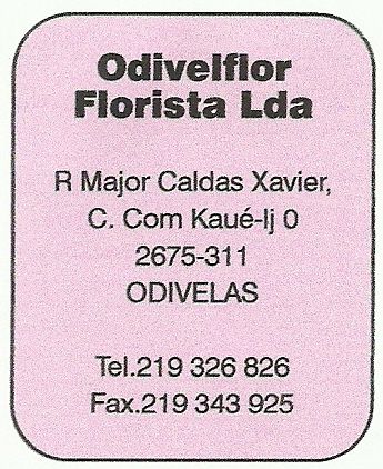 Odivelflor-Florista Lda
