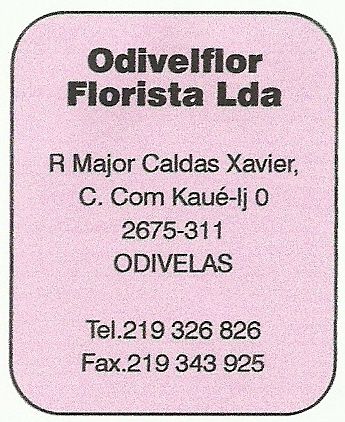 Odivelflor-Florista Lda