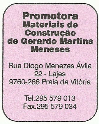 Promotora - Materiais de Construção, de Gerardo Martins Meneses