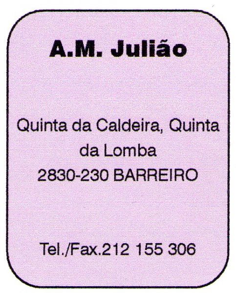 A.M. & Julião, Lda