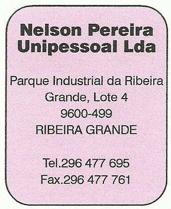 Nelson Pereira Unipessoal Lda