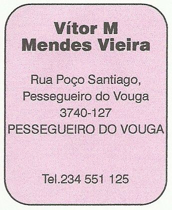 Vítor M Mendes Vieira
